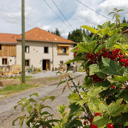 Saulxures-sur-Moselotte La Ferme De Jean Entre Lacs Et Montagnes מראה חיצוני תמונה