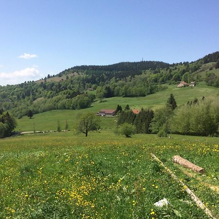 Saulxures-sur-Moselotte La Ferme De Jean Entre Lacs Et Montagnes מראה חיצוני תמונה