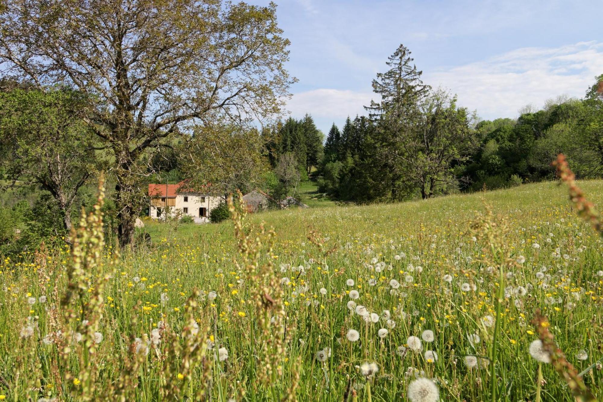 Saulxures-sur-Moselotte La Ferme De Jean Entre Lacs Et Montagnes מראה חיצוני תמונה
