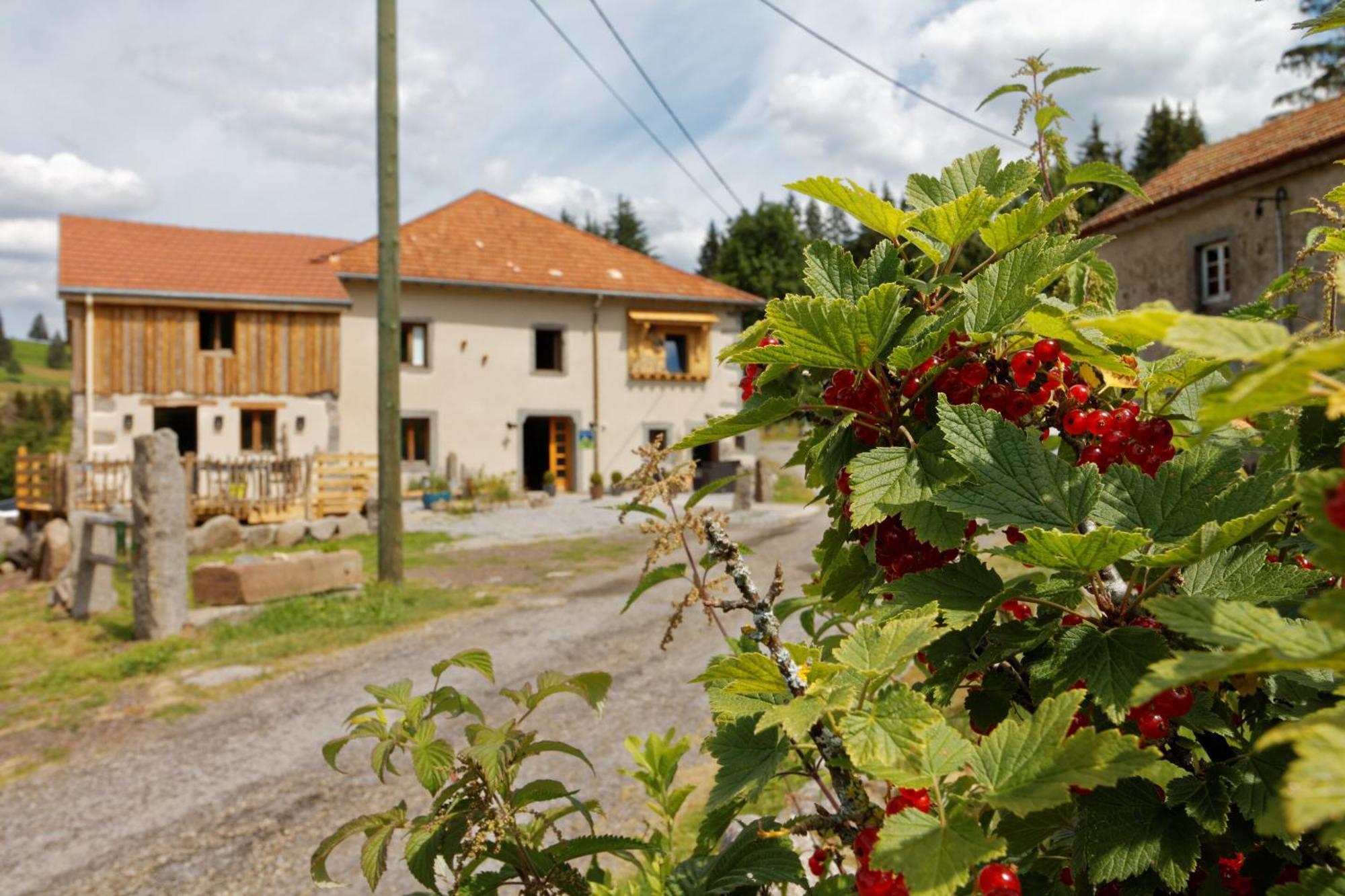 Saulxures-sur-Moselotte La Ferme De Jean Entre Lacs Et Montagnes מראה חיצוני תמונה